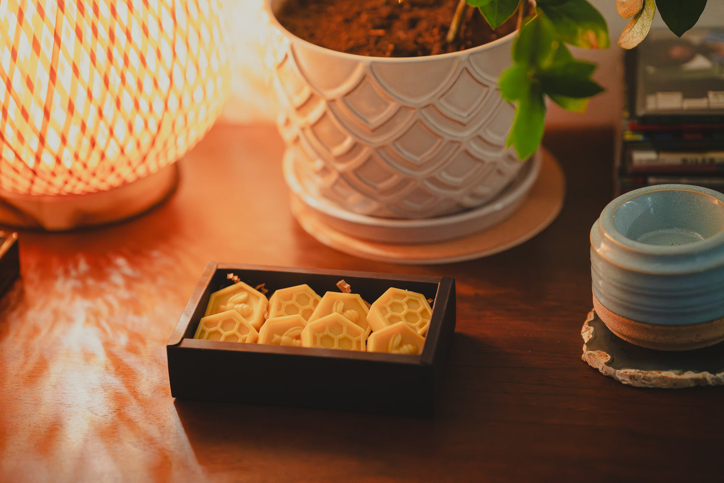Organic Sage & Citrus Beeswax Melts ~ Wax Melts ~ Beeswax ~ Sage and Citrus ~ Fragrance Free ~ Eco Friendly ~ Wax Melts in Box ~ Non-toxic