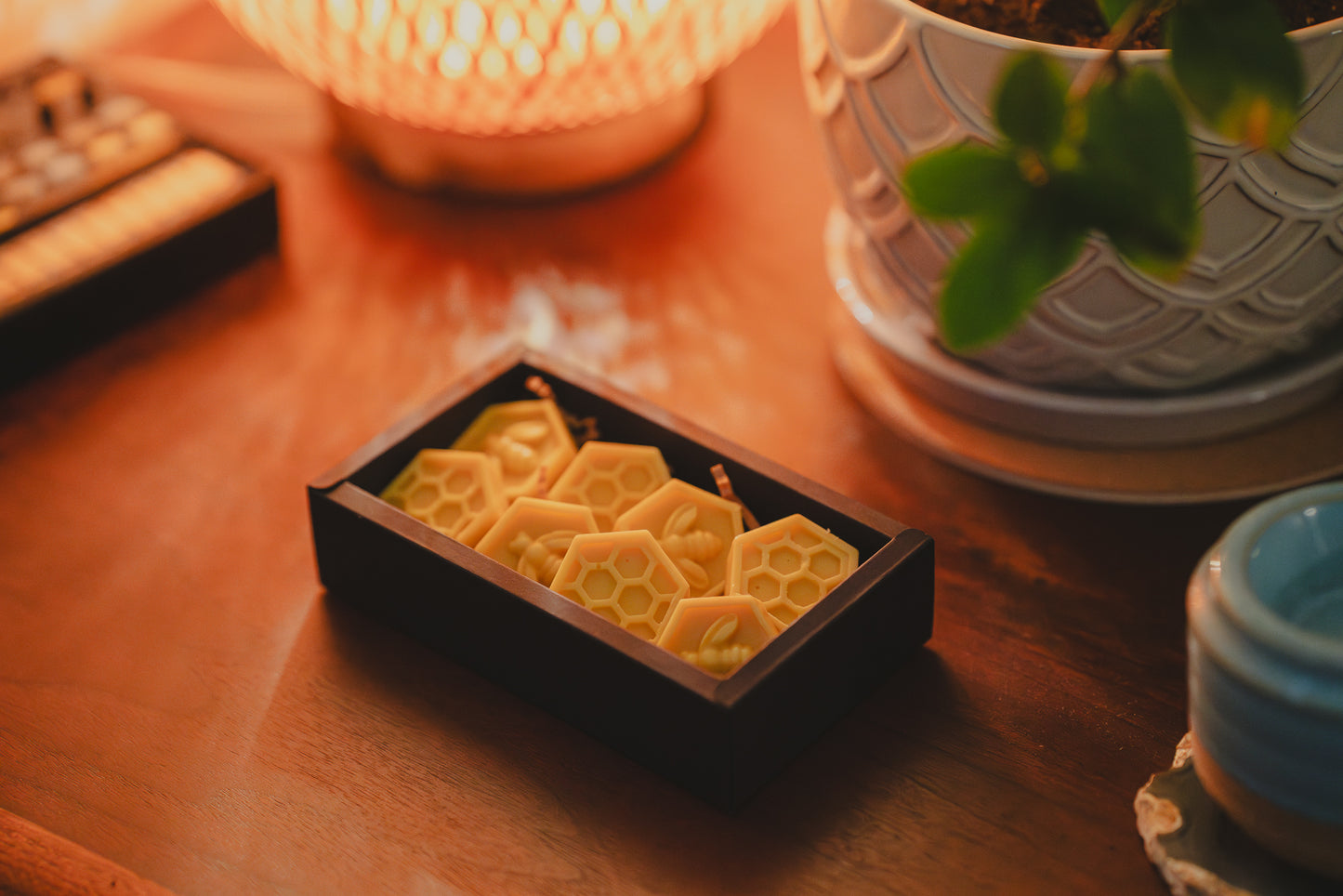 Organic Apple Pie Beeswax Melts ~ Wax Melts ~ Beeswax ~ Cinnamon Apple ~ Fragrance Free ~ Eco Friendly Package ~ Wax Melts in Box ~