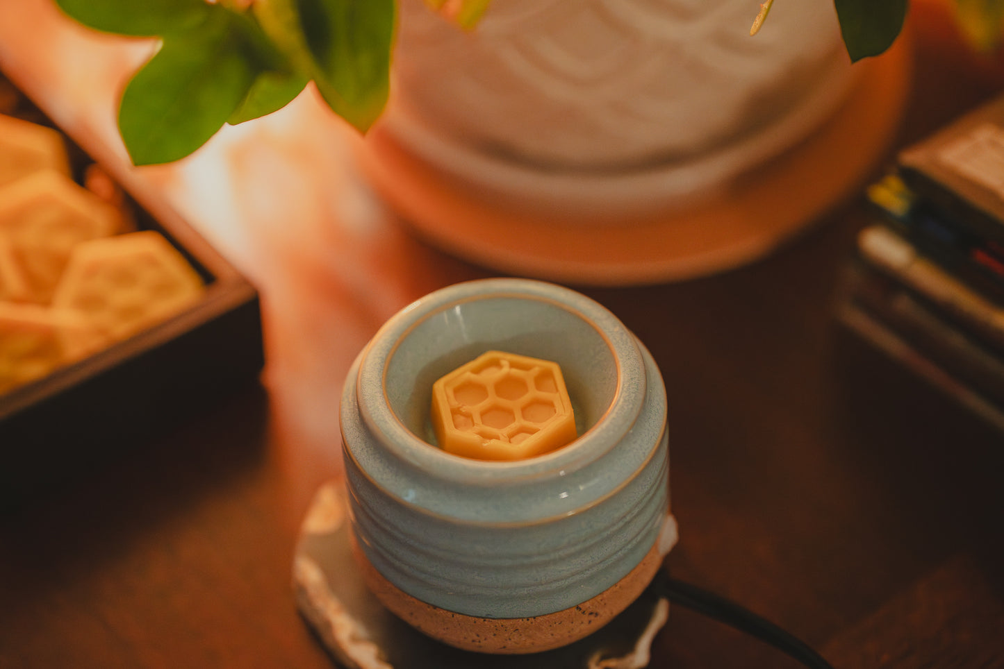 Organic Apple Pie Beeswax Melts ~ Wax Melts ~ Beeswax ~ Cinnamon Apple ~ Fragrance Free ~ Eco Friendly Package ~ Wax Melts in Box ~