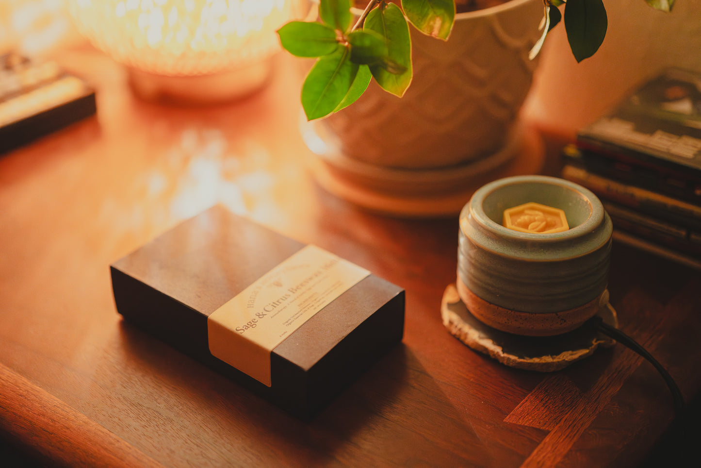 Organic Sage & Citrus Beeswax Melts ~ Wax Melts ~ Beeswax ~ Sage and Citrus ~ Fragrance Free ~ Eco Friendly ~ Wax Melts in Box ~ Non-toxic