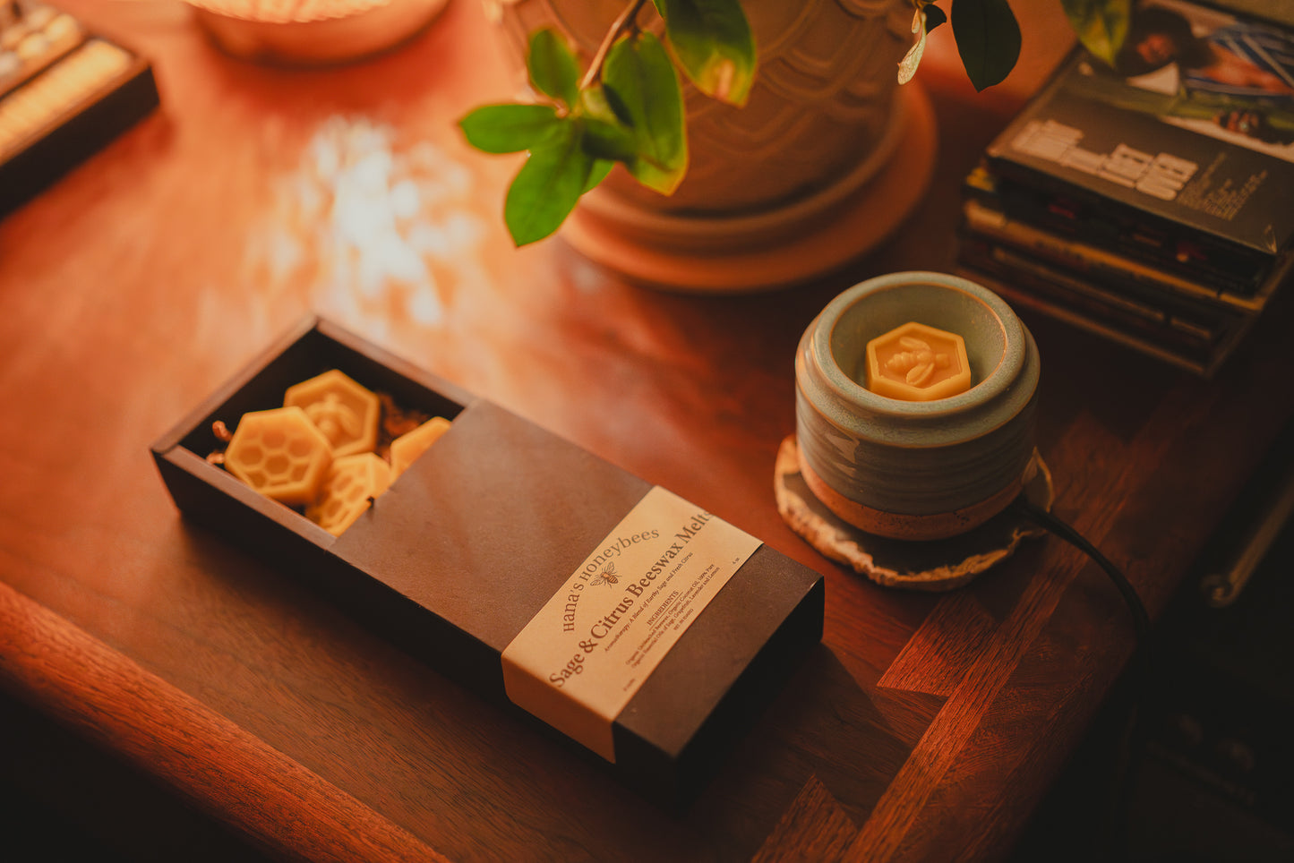 Organic Sage & Citrus Beeswax Melts ~ Wax Melts ~ Beeswax ~ Sage and Citrus ~ Fragrance Free ~ Eco Friendly ~ Wax Melts in Box ~ Non-toxic