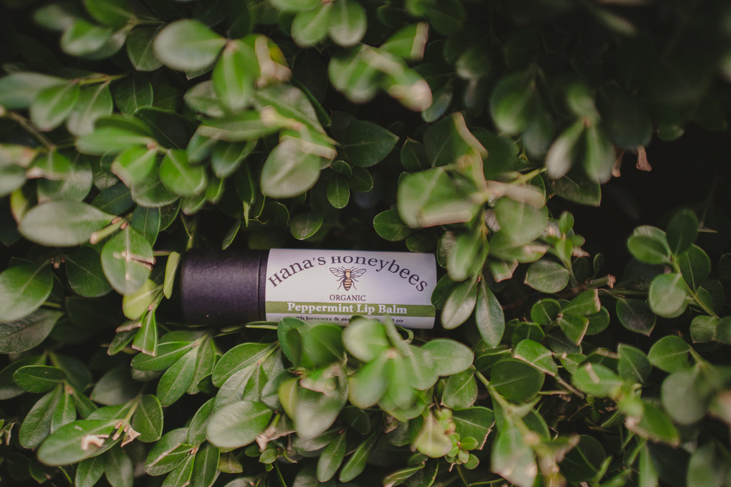 Eco-friendly Organic Peppermint Lip Balm Tube 0.3 oz, Cardboard Tube, Beeswax and Coconut Oil, Gifts, Essential Oils