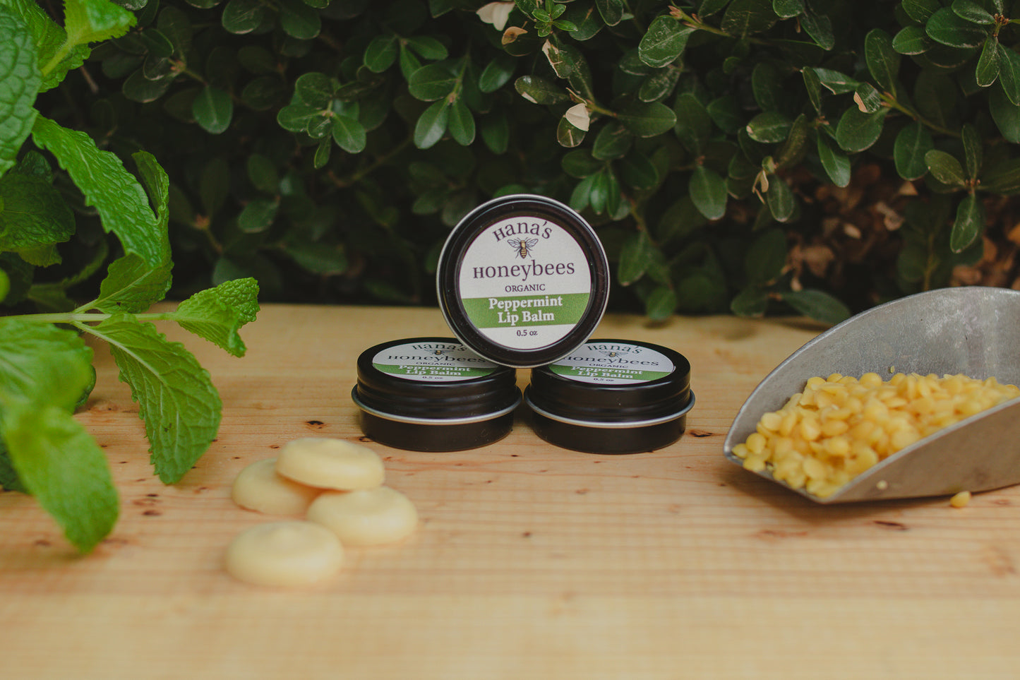 Pack of 3 Mix and Match ORGANIC Lip Balm 0.5 - Chapstick - Stocking Stuffer - All natural - Essential Oils - Beeswax - Cocoa Butter - Gift