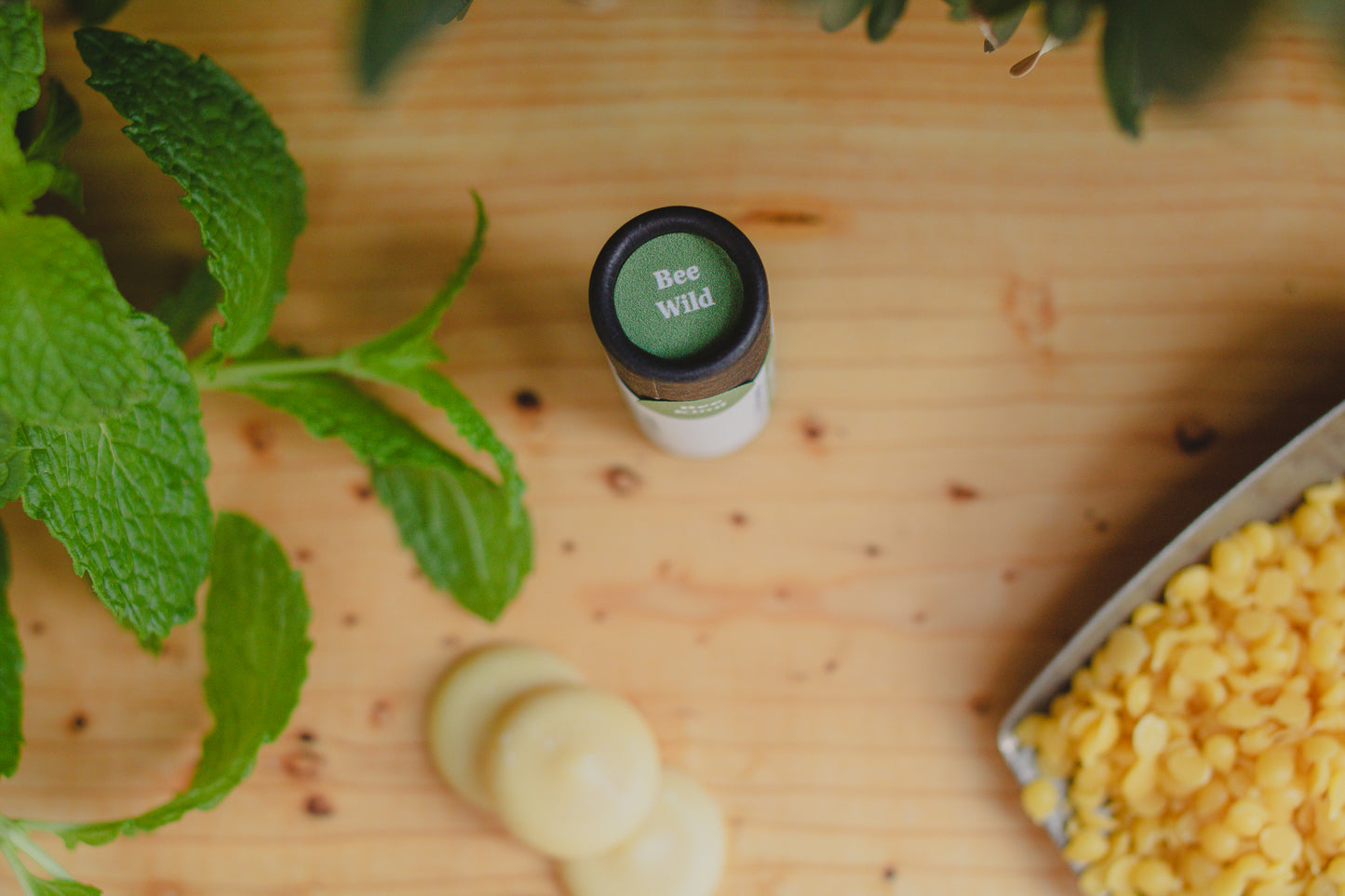 Eco-friendly Organic Peppermint Lip Balm Tube 0.3 oz, Cardboard Tube, Beeswax and Coconut Oil, Gifts, Essential Oils