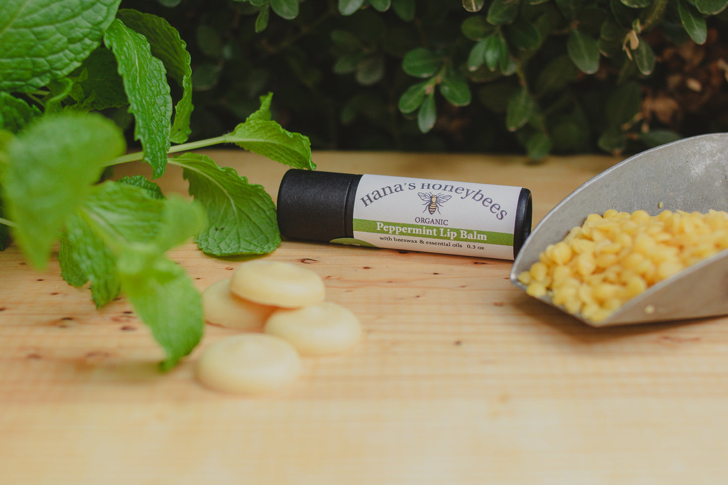 Eco-friendly Organic Peppermint Lip Balm Tube 0.3 oz, Cardboard Tube, Beeswax and Coconut Oil, Gifts, Essential Oils