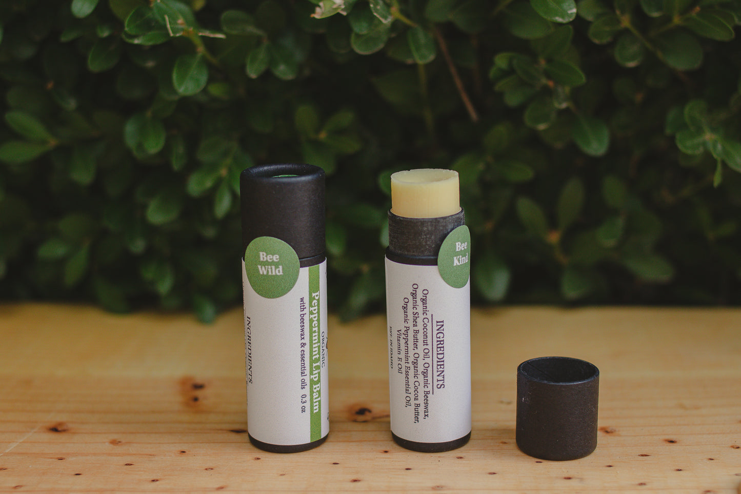 Eco-friendly Organic Peppermint Lip Balm Tube 0.3 oz, Cardboard Tube, Beeswax and Coconut Oil, Gifts, Essential Oils