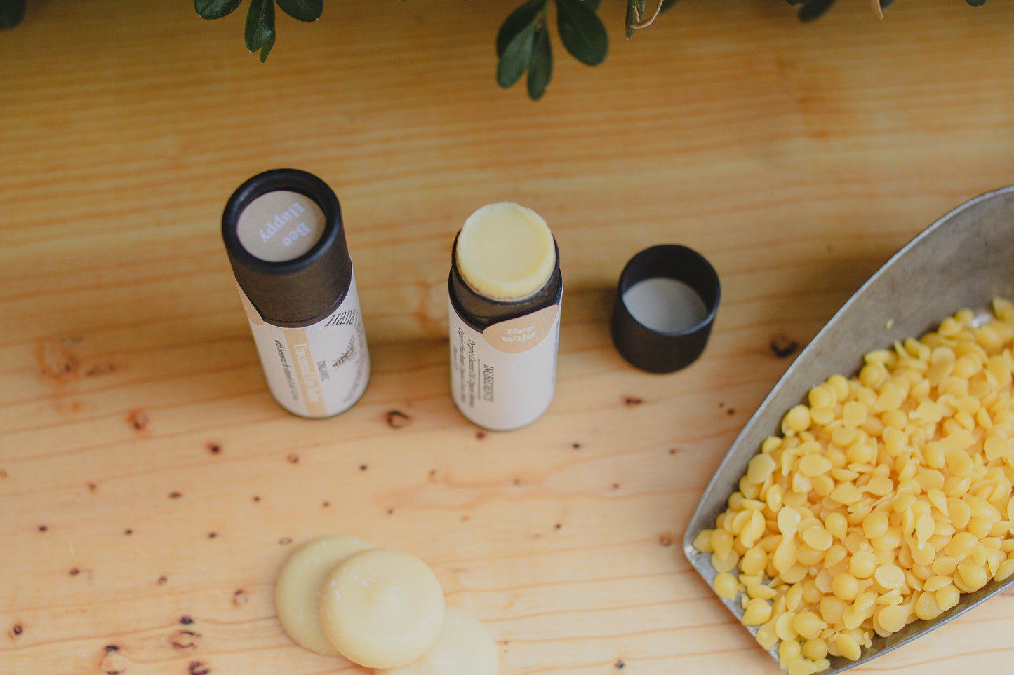 Eco-friendly Organic Unscented Lip Balm Tube 0.3 oz, Cardboard Tube, Beeswax and Coconut Oil, Gifts, Essential Oils