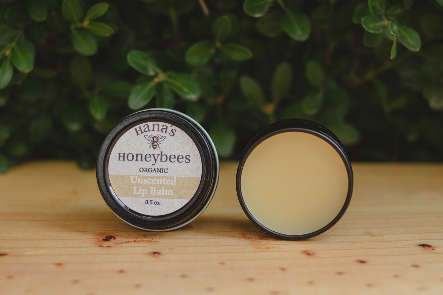 Unscented ORGANIC Lip Balm 0.5 oz - Beeswax and Shea Butter - Eco-friendly - Chapstick - Stocking Stuffer - Christmas Gift - All Natural