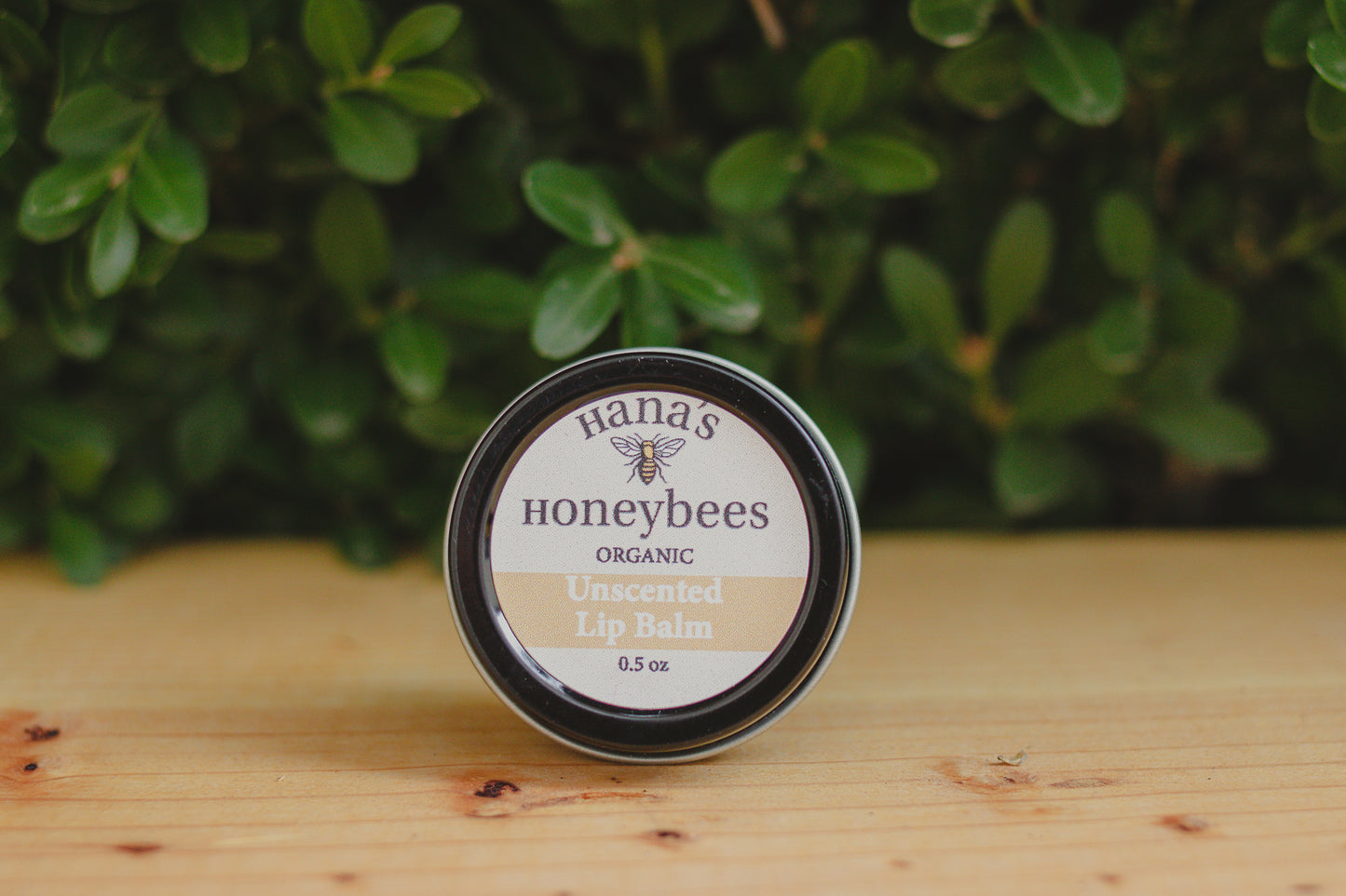 Unscented ORGANIC Lip Balm 0.5 oz - Beeswax and Shea Butter - Eco-friendly - Chapstick - Stocking Stuffer - Christmas Gift - All Natural