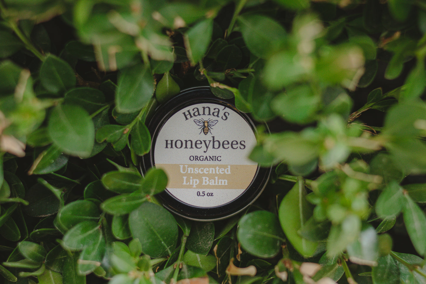 Unscented ORGANIC Lip Balm 0.5 oz - Beeswax and Shea Butter - Eco-friendly - Chapstick - Stocking Stuffer - Christmas Gift - All Natural