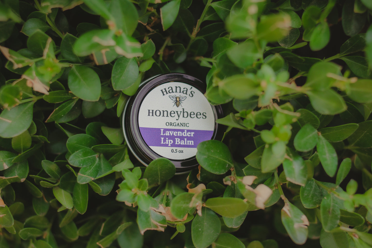 ORGANIC Lavender Lip Balm for bikers 0.5 oz - Beeswax and Shea Butter - Eco-friendly - Chapstick - Stocking Stuffer - Christmas Gift - All Natural