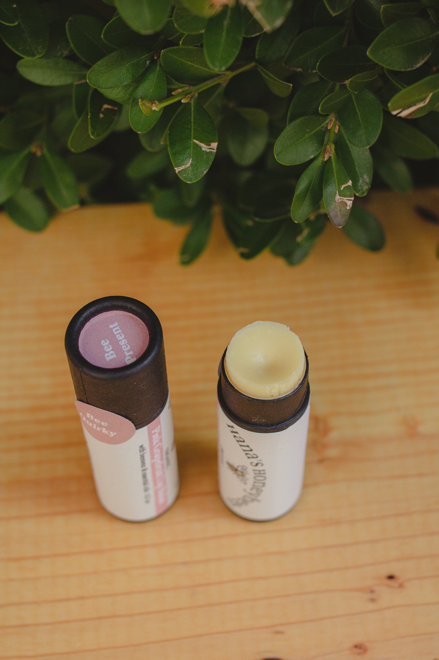 Eco-friendly Organic Pink Grapefruit Lip Balm Tube 0.3 oz, Cardboard Tube, Beeswax and Coconut Oil, Gifts, Essential Oils