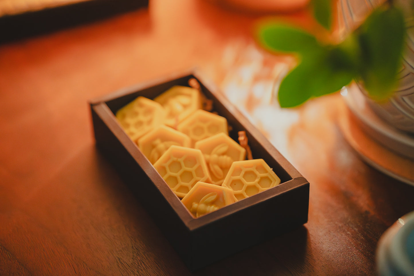 Organic Apple Pie Beeswax Melts ~ Wax Melts ~ Beeswax ~ Cinnamon Apple ~ Fragrance Free ~ Eco Friendly Package ~ Wax Melts in Box ~