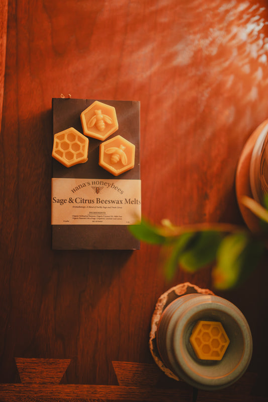 Organic Sage & Citrus Beeswax Melts ~ Wax Melts ~ Beeswax ~ Sage and Citrus ~ Fragrance Free ~ Eco Friendly ~ Wax Melts in Box ~ Non-toxic