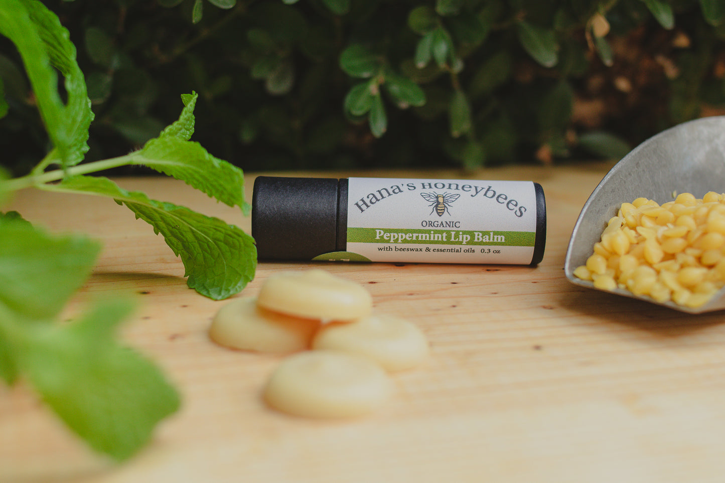 Eco-friendly Organic Peppermint Lip Balm Tube 0.3 oz, Cardboard Tube, Beeswax and Coconut Oil, Gifts, Essential Oils