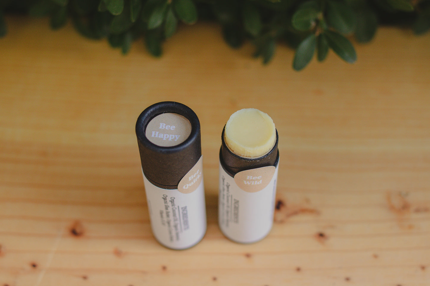 Eco-friendly Organic Unscented Lip Balm Tube 0.3 oz, Cardboard Tube, Beeswax and Coconut Oil, Gifts, Essential Oils