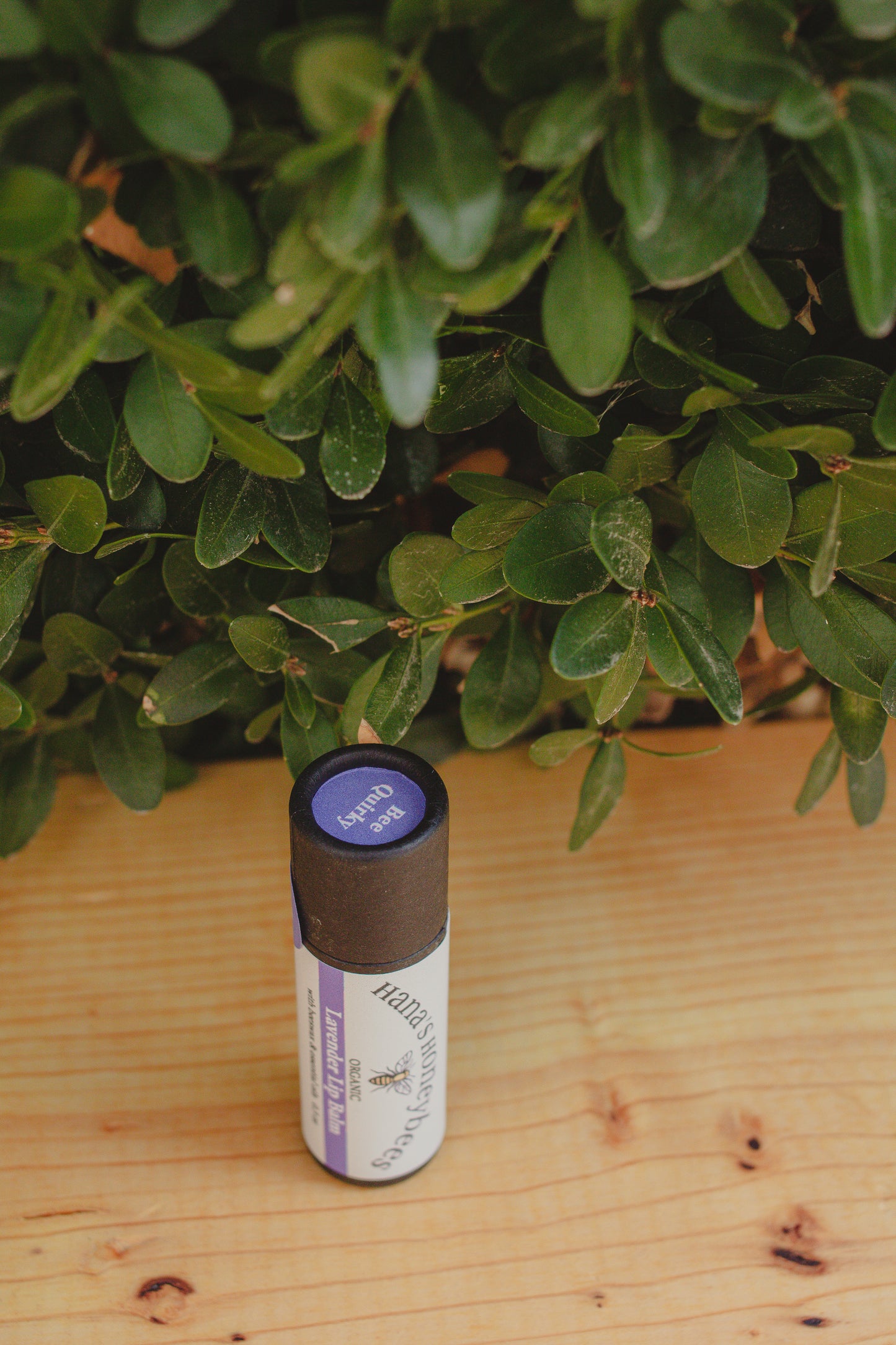 Eco-friendly Organic Lavender Lip Balm Tube 0.3 oz, Cardboard Tube, Beeswax and Coconut Oil, Gifts, Essential Oils Active